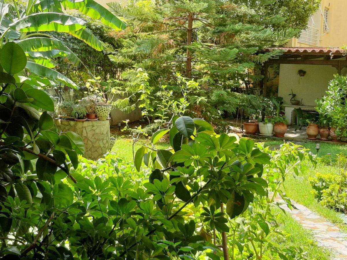 Lovely House Athens Exterior photo